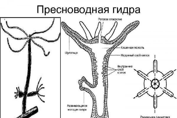 Ссылка кракен kraken014 com