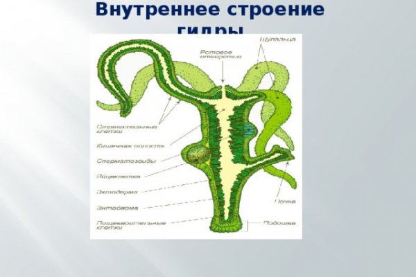 Ссылка на магазин кракен